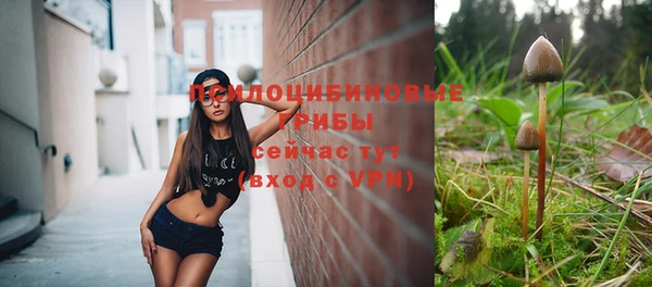 твердый Алзамай