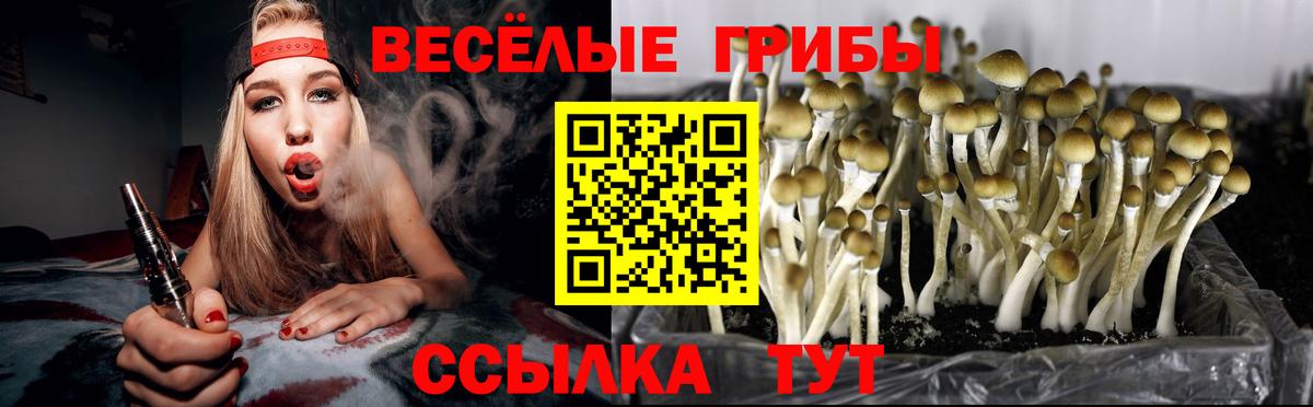 где купить наркотик  Псилоцибиновые грибы Cubensis  Вход с VPN  Анжеро-Судженск 